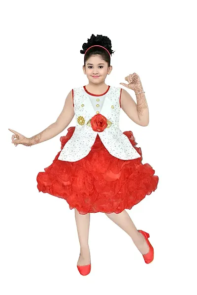 Fancy Net Frock Dress For Girls