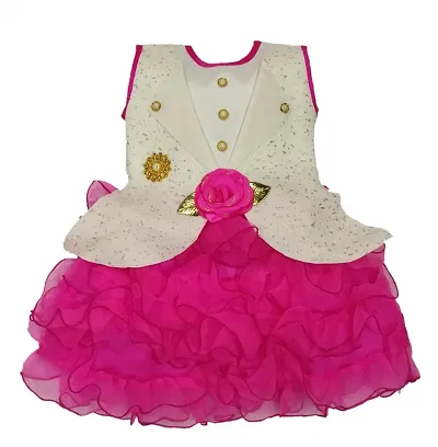 Girls Fancy Net Frock