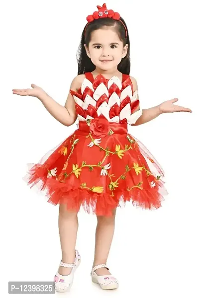 Classic Net Embroidered Dress for Kids Girls