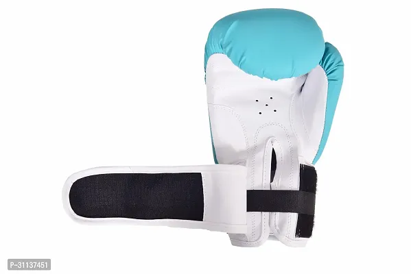 Classic Boxing Gloves With Molded Padding Foam-thumb4