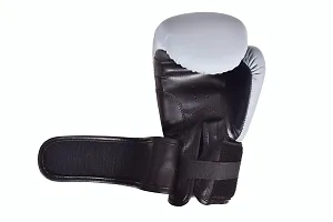 Classic Boxing Gloves With Molded Padding Foam-thumb2