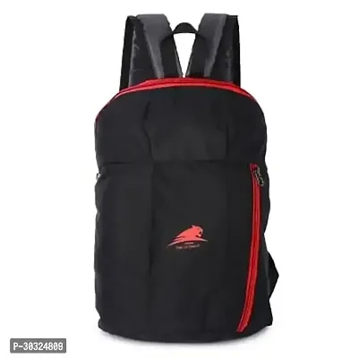 Stylish Unisex Backpacks-thumb0