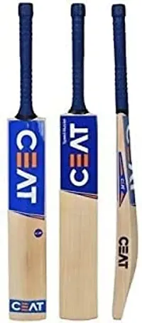 Premium Quality Cricket Gears