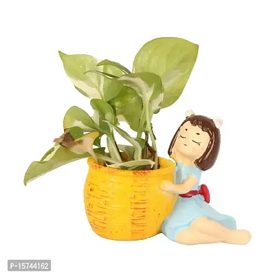 Grey Fox || Resin Pot Cute Girl with Basket || Succulent Pot Indoor || Desktop Flower Planter || Home Decor Garden || Without Plant-thumb3