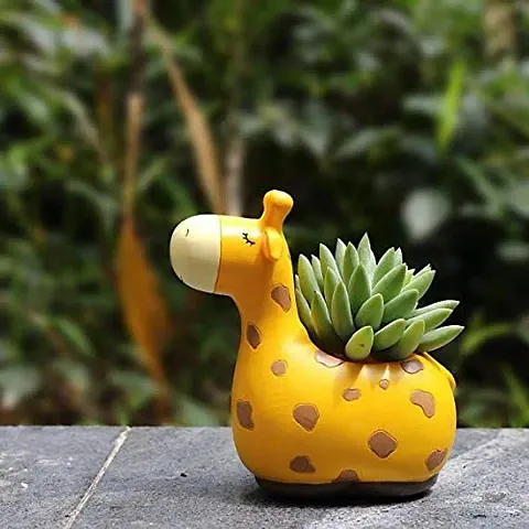 Handmade Unique Pot For Succulents