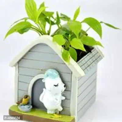 GreyFOX || Handmade Cute Resin Hut 2 Multipurpose Pot || Succulent Pot Indoor || Desktop Flower Planter || Home Decor