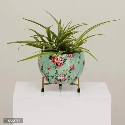 High Finish Exotic Metal 6 Inches Multipurpose Pot || Succulent Pot Indoor || Desktop Flower Planter || Home Deacute;cor Garden || Without Plant