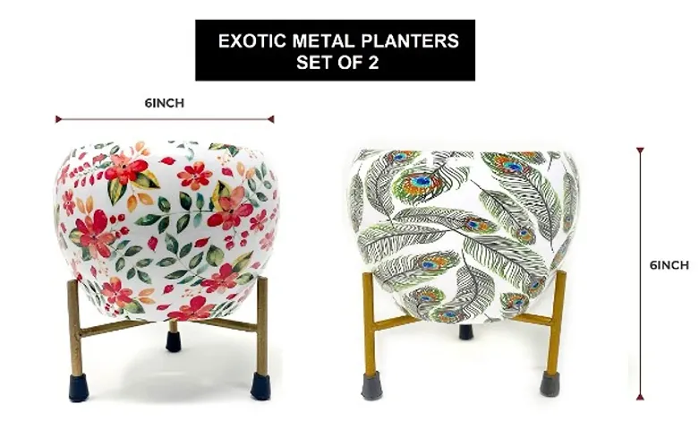 Exotic 6 inches Metal Planters Combo