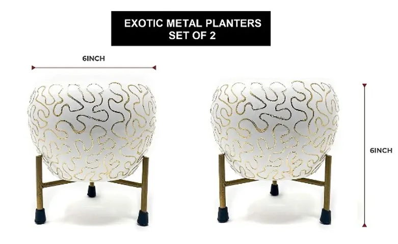 Beautiful Planters Combo For Your Home