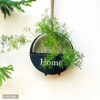 Premium Quality Metal Hanging Planter for Home  Garden Decoration-Medium Size