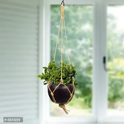 Metal Hanging Planter With Jute Rope for Home  Garden Decoration