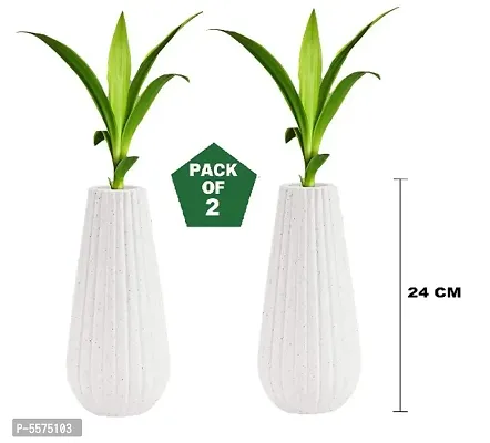 Plastic Omega Pot | Set of 2 Planter, (9cm x 6cm x 20cm)