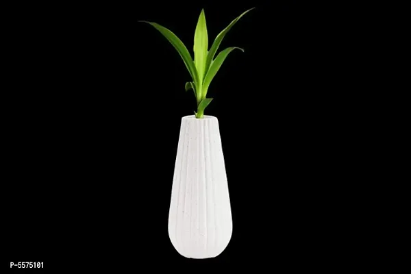 Plastic Omega Pot | Set of 2 Planter, (9cm x 6cm x 20cm)-thumb2