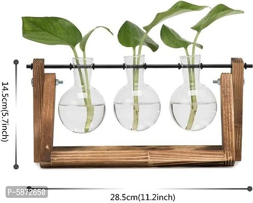 Glass Terrarium Planter With Wooden Holder  || Succulent Pot Indoor || Desktop Flower Planter || Home Deacute;cor Garden-thumb2