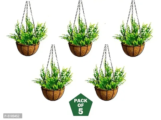 GreyFOX Planter || 10 inch Fine Quality COCO Liner pot with Metal Basket  Chain, Pack of 5