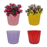 GreyFOX || Solitaire Pot 4 Inch in Multicolor Pack of 3|| Durable Plastic, without Plant (Available in assorted colors)-thumb3