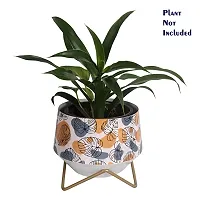 GreyFox Modern Designer Tabletop Metal Plant Stand Pot - Mid Century Decorative Indoor Plant Pots for Living Room, Balcony and Garden.-thumb1