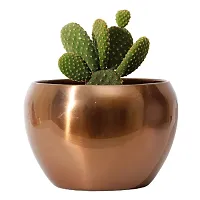 Grey Fox|| Metallic Sunshine Pot Copper Colored (4.7 inches) Multipurpose Pot/Desktop Flower Planter/Home deacute;cor Garden/Without Plant/Succulent Pot Indoor/Rust Free-thumb3