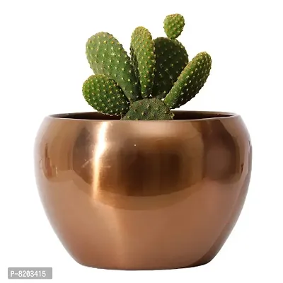 Grey Fox|| Metallic Sunshine Pot Copper Colored (4.7 inches) Multipurpose Pot/Desktop Flower Planter/Home deacute;cor Garden/Without Plant/Succulent Pot Indoor/Rust Free-thumb4