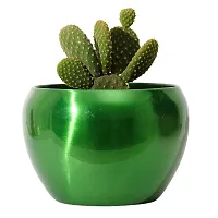 Grey Fox|| Metallic Sunshine Pot Green Colored (4.7 inches) Multipurpose Pot/Desktop Flower Planter/Home deacute;cor Garden/Without Plant/Succulent Pot Indoor/Rust Free-thumb3