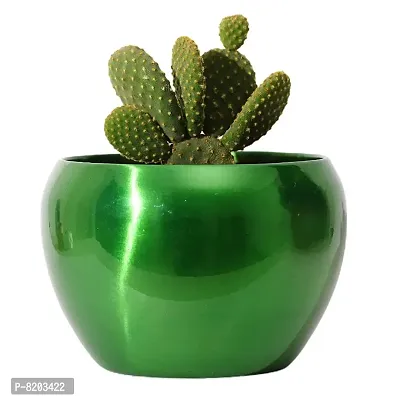 Grey Fox|| Metallic Sunshine Pot Green Colored (4.7 inches) Multipurpose Pot/Desktop Flower Planter/Home deacute;cor Garden/Without Plant/Succulent Pot Indoor/Rust Free-thumb4