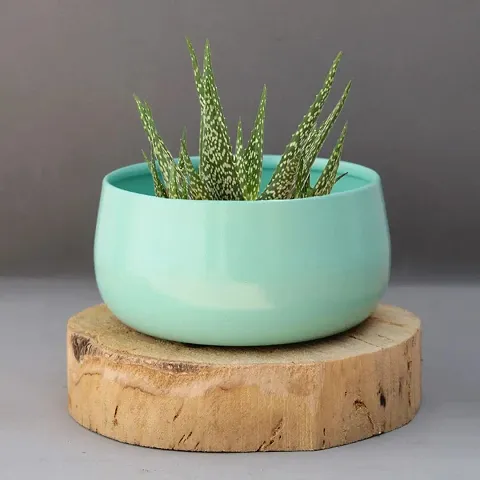 Beautiful Planters for Home Decoration