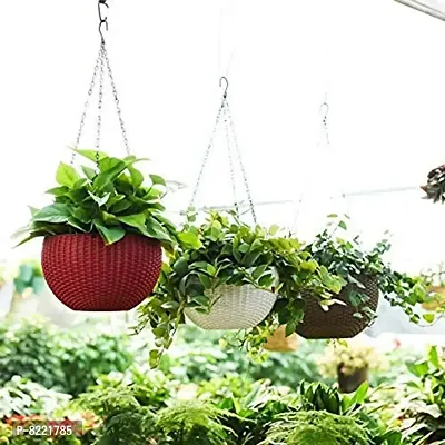 GreyFOX || High Quality 7 inch Colorful Hanging Pots with Metal Chain for Home  Garden Deacute;cor, Pack of 3 piece.-thumb2