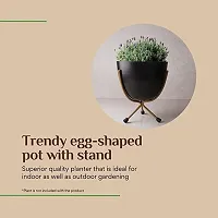 GreyFox Black Egg Shaped Metal Pot With Stand for home and garden Decor. Pack of 1-thumb4