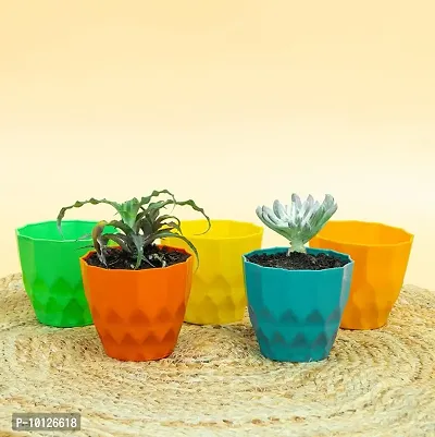 GreyFox 4 Inches Vibrant Diamond Shaped Plastic Pots. Available in Assorted Colors. Pack of 5