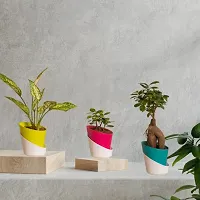 GreyFOX || Self Watering Pots for Indoor Plants, Living Room Tabletop Planter Desk Decor Round Plastic Flowerpot 4.3 Inch Plastic Planter Mixed Color Set of 5-thumb1