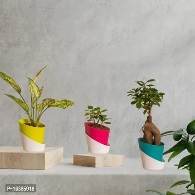GreyFOX || Self Watering Pots for Indoor Plants, Living Room Tabletop Planter Desk Decor Round Plastic Flowerpot 4.3 Inch Plastic Planter Mixed Color Set of 5-thumb2