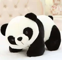 Hugable Panda Stuffed Toy | Animal Soft toy for your Best and Close friend | Can be used for New born babies, kids, Children, Boys, Girls, Birthday Gift, Return Gift, Home, Office  Car Decor - 26 cm-thumb2