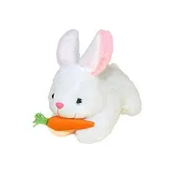 Super Soft Rabbit With Carrot for Kids Playing, Girls and Boys Soft Toy for Birthday gift, Return gift, Sweet memories and Home Decoration - 28 cm - Pack of 2-thumb1