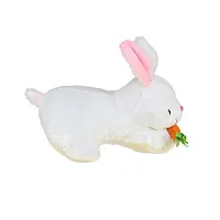 Super Soft Rabbit With Carrot for Kids Playing, Girls and Boys Soft Toy for Birthday gift, Return gift, Sweet memories and Home Decoration - 28 cm - Pack of 2-thumb3