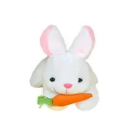 Super Soft Rabbit With Carrot for Kids Playing, Girls and Boys Soft Toy for Birthday gift, Return gift, Sweet memories and Home Decoration - 28 cm - Pack of 2-thumb2