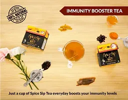 Spice Sip - Natural Immunity Booster Wellness Tea for All Adults Kids - Turmeric Cinnamon Black Pepper Spices - Pack of 5 (30 Tea Bags)-thumb2