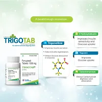 Trigotab Fenugreek Seed Extract Powder Tablets for Diabetes - 60 Tablets (Pack of 1)-thumb3