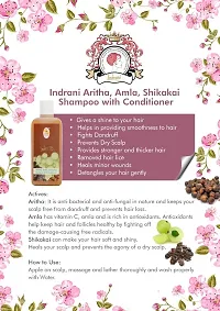 Indrani Aritha, Amla, Shikakai Shampoo With Conditioner 500ml-thumb4