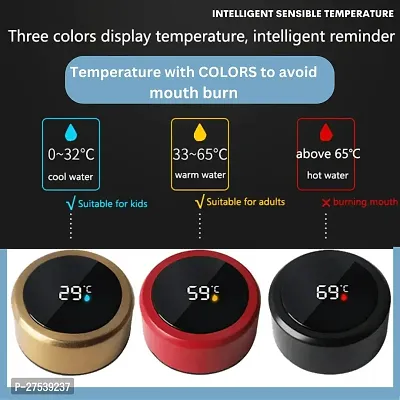 Temperature Display - Stainless Steel Hot  Cold Thermos Vacuum Flask For Travel, Outdoor, Gym, Office - Leakproof-thumb5