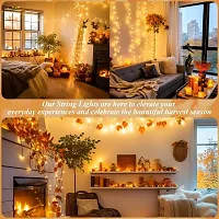 Decorative LED Lights for Home-thumb2