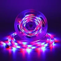 Decorative LED Lights for Home-thumb3