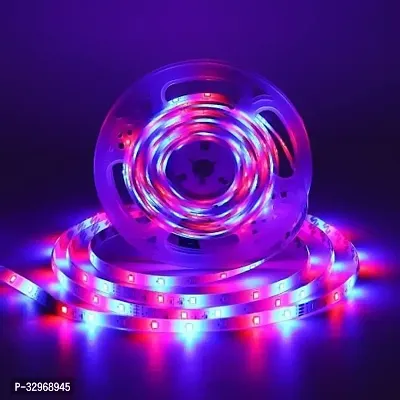 Decorative LED Lights for Home-thumb2