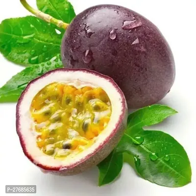 Zomoloco Air Layered Passion Fruit Plant Live Plan-thumb0