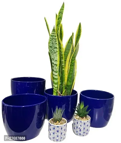 Zomoloco Snake Plant For Home Decorations Best For-thumb0