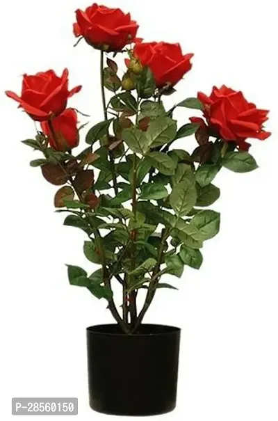 Zomoloco Rose Plant RedRose_Plant-thumb0