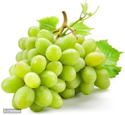 Zomoloco Air Layered Grapes Angoor Live Plant C-thumb0