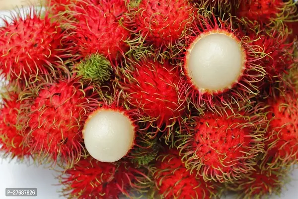 Zomoloco Rare Red Rambutan Hybrid Exotic Fruit See-thumb0