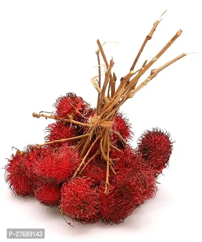 Zomoloco Rare Red Rambutan Hybrid Exotic Fruit See