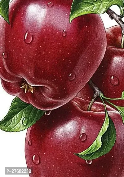 Zomoloco Elite Greensweet Red Apple Plant Kasmir-thumb0