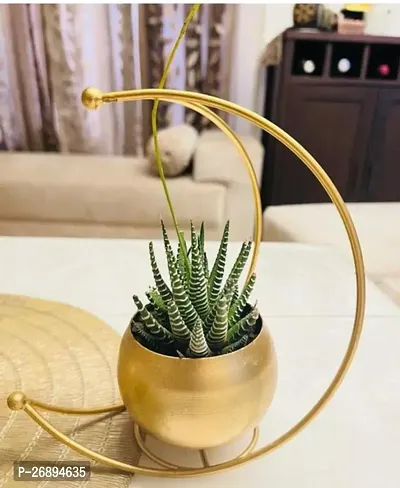 Moon Shape Vase Gold Decorative Flower Pot For Home Decor-thumb0